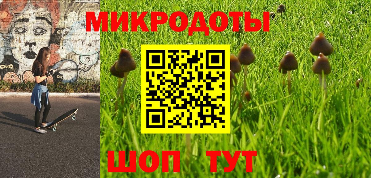 Псилоцибиновые грибы MAGIC MUSHROOMS Россия